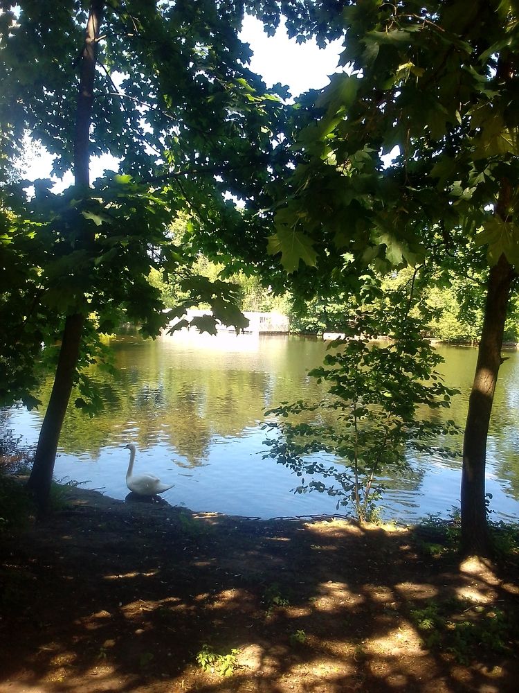 Photograph by Ольга Коркина