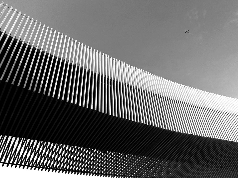 Photograph by Sanaz Babaei