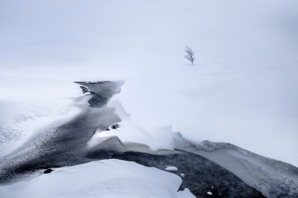 Photograph by Парамонов Григорий