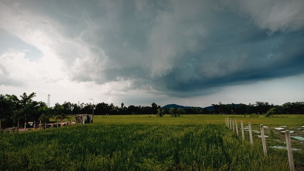 Photograph by Bon bulosan