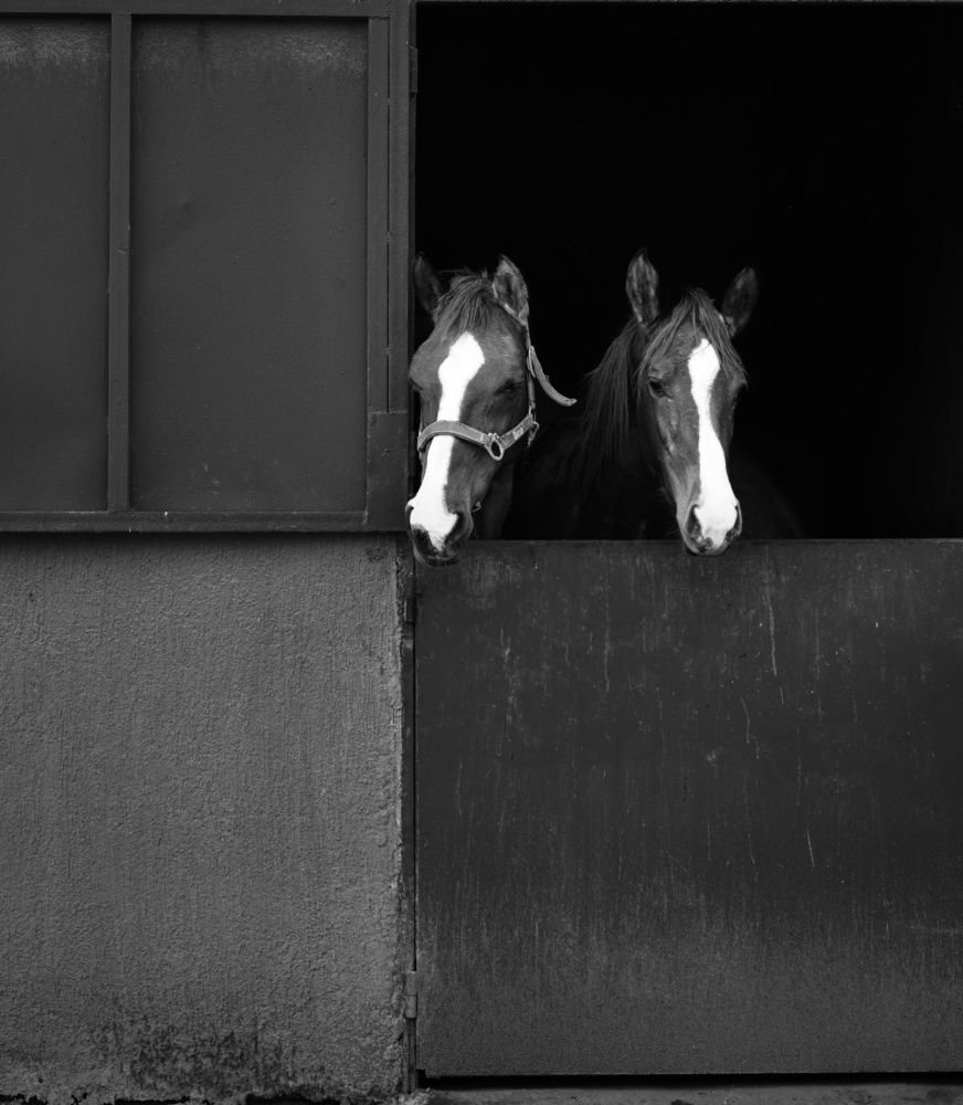 Photograph by hussain alqattan