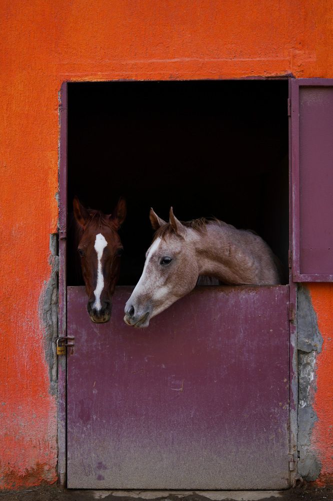 Photograph by hussain alqattan