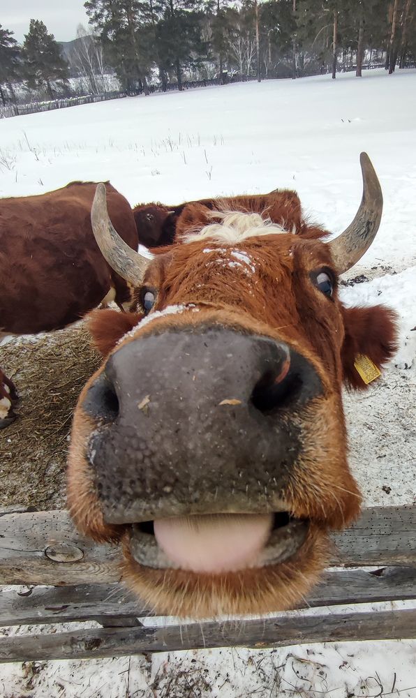 Photograph by Андрей Фадеев