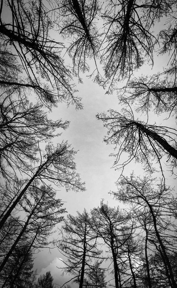 Photograph by Андрей Фадеев