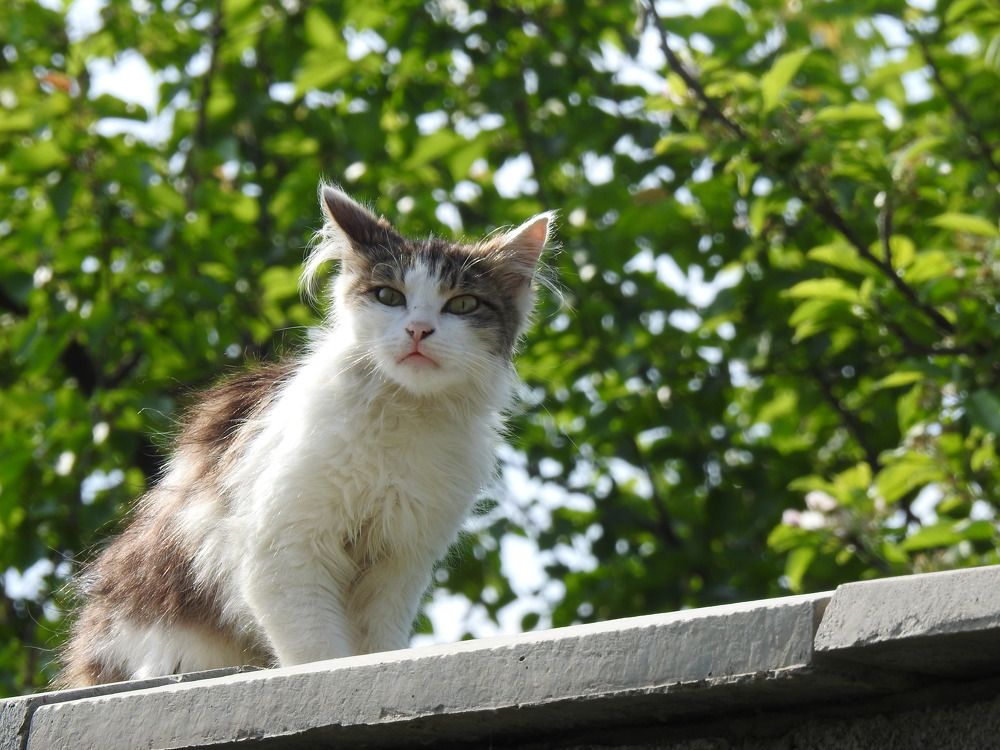 Фотография автора Shavkat Tojiyev