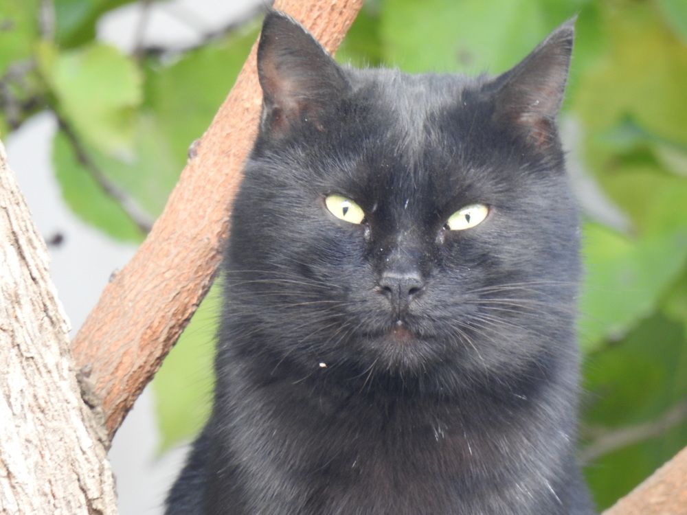 Фотография автора Shavkat Tojiyev
