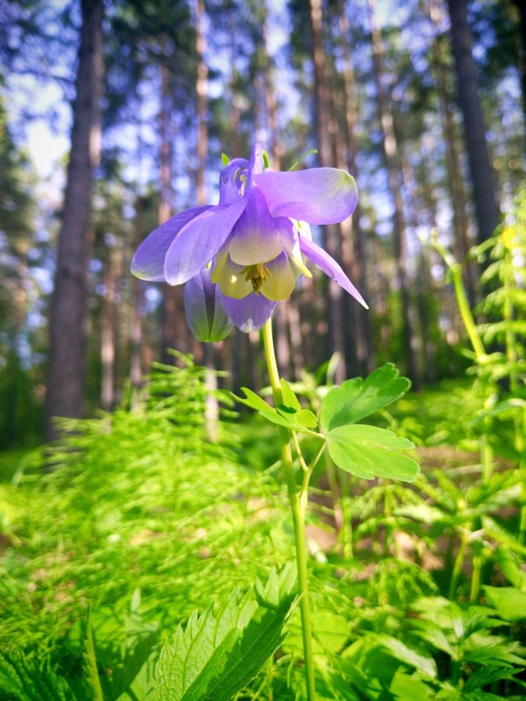 Photograph by Наталья Александровна