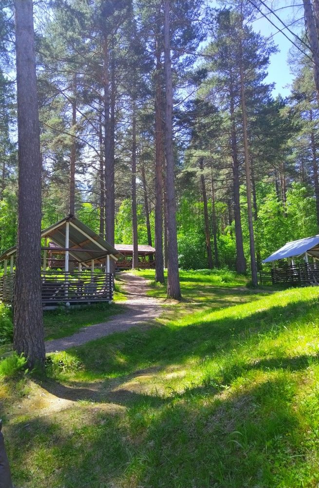 Photograph by Наталья Александровна