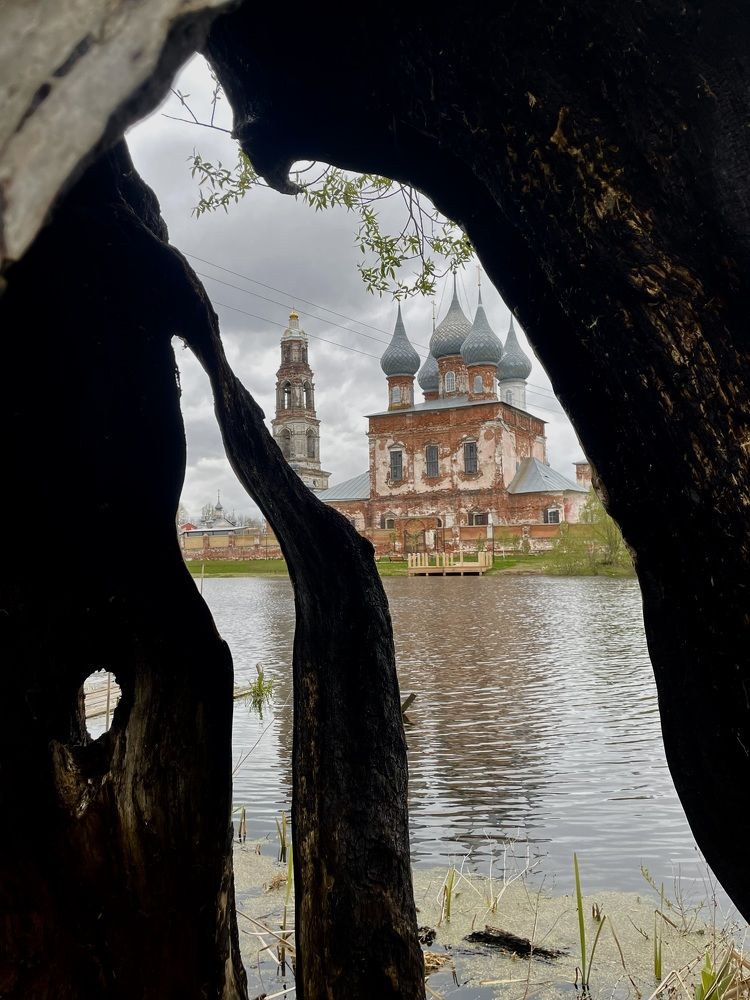 Photograph by Людмила Белякова