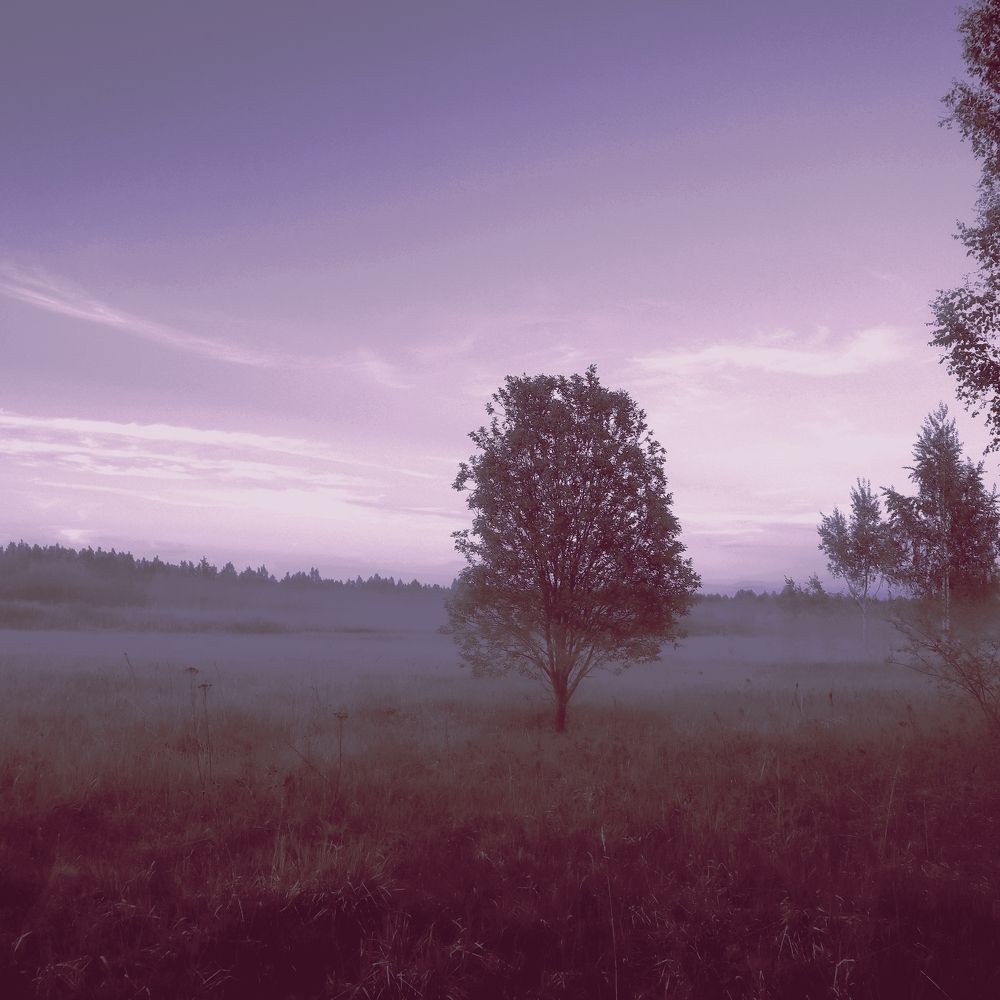 Photograph by Irina Alexandrova