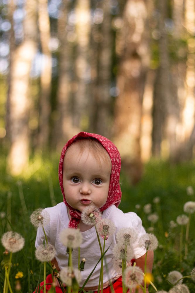 Photograph by Дарья Улюсова