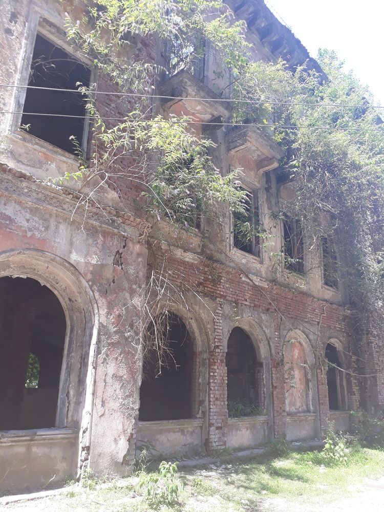 Photograph by Александр Леонов