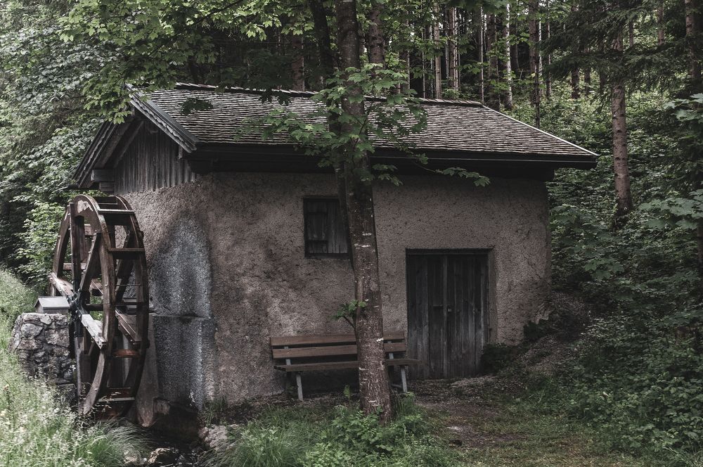 Photograph by Liliana Negoi