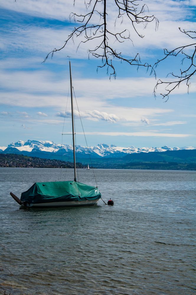 Photograph by Liliana Negoi