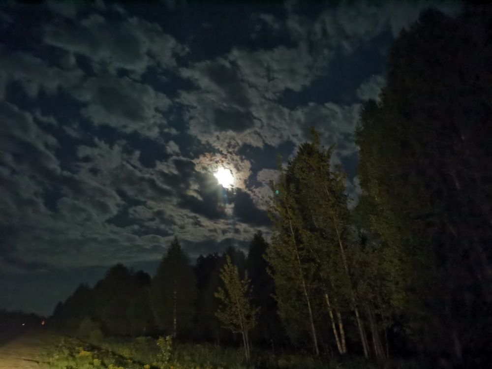 Photograph by Сергей Веселов