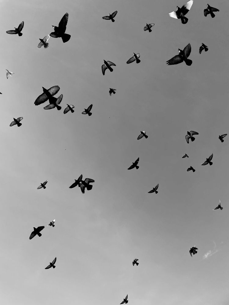 Фотография автора Елена Коробкова