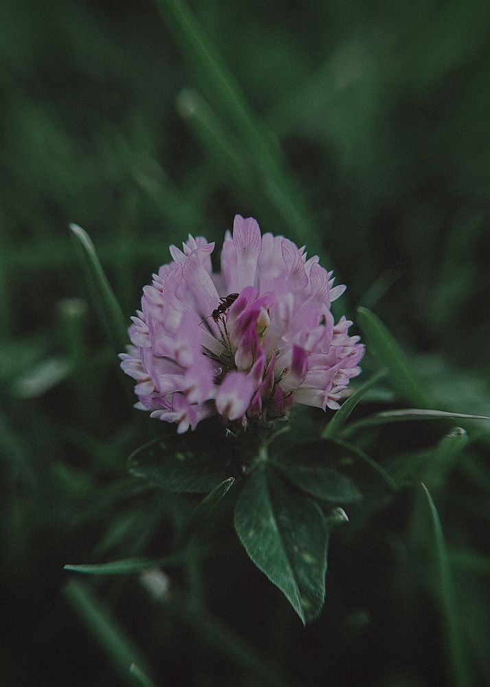 Фотография автора Юлия Косинова