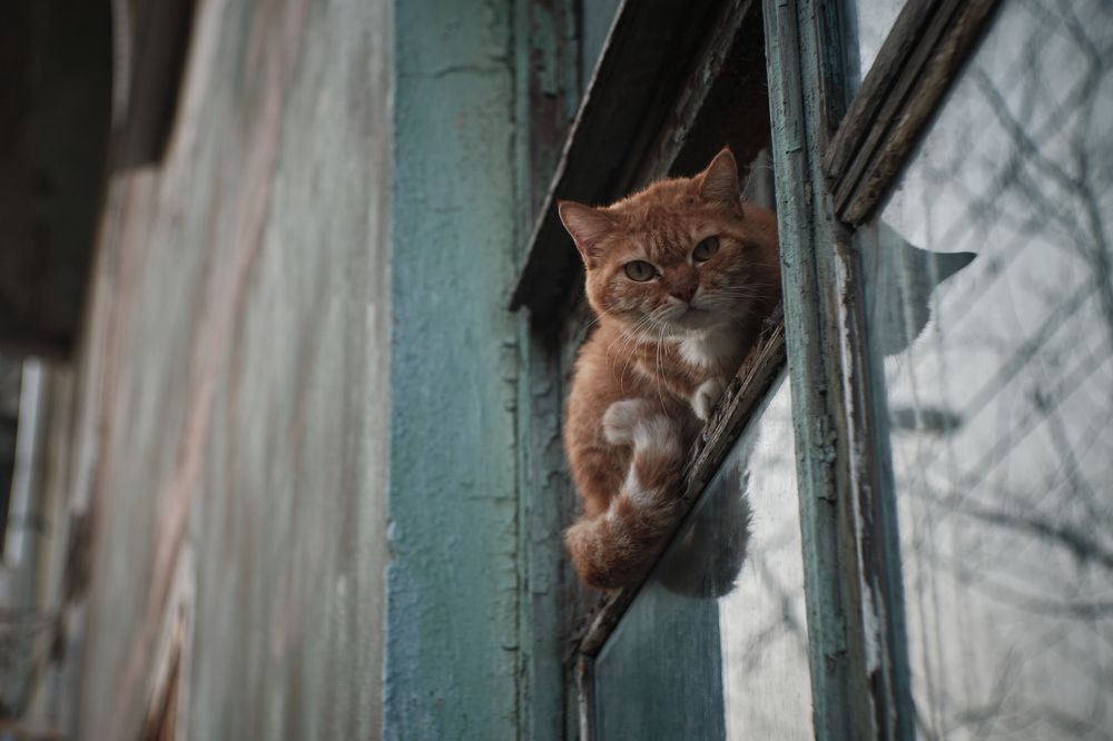 Photograph by Иванов Виктор