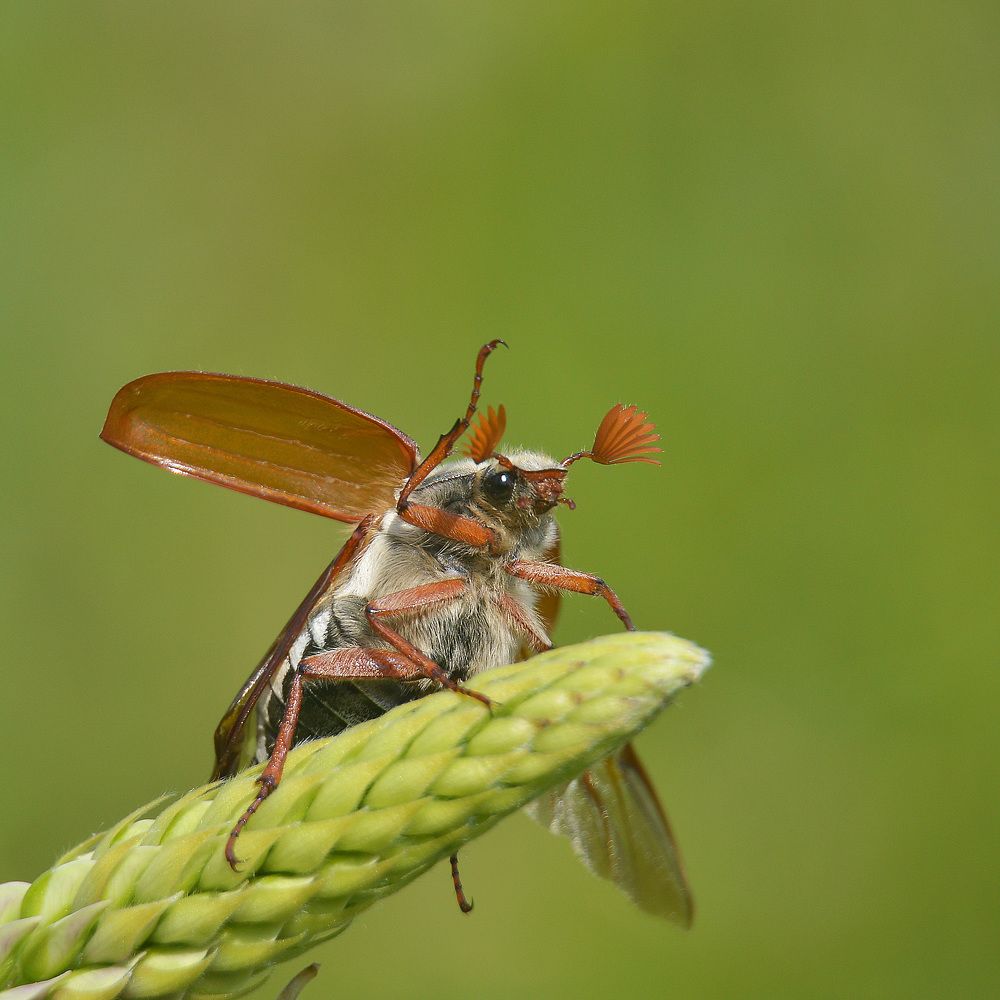 Подготовка к полету.