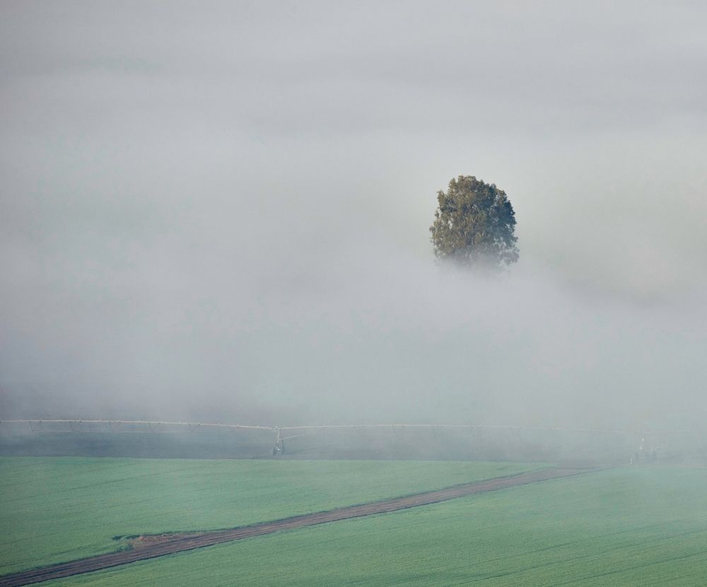 Photograph by Alexander Leshinsky