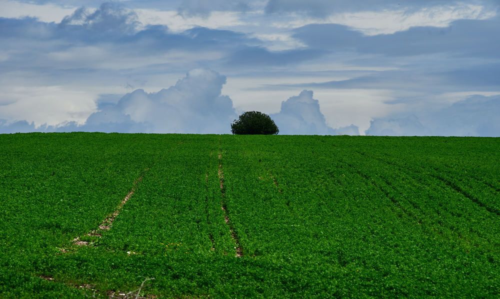 Photograph by Alexander Leshinsky