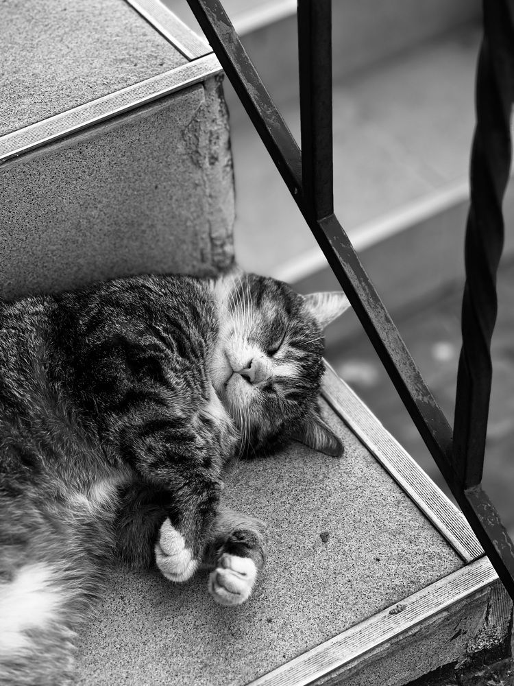 Photograph by Виктория Ушакова