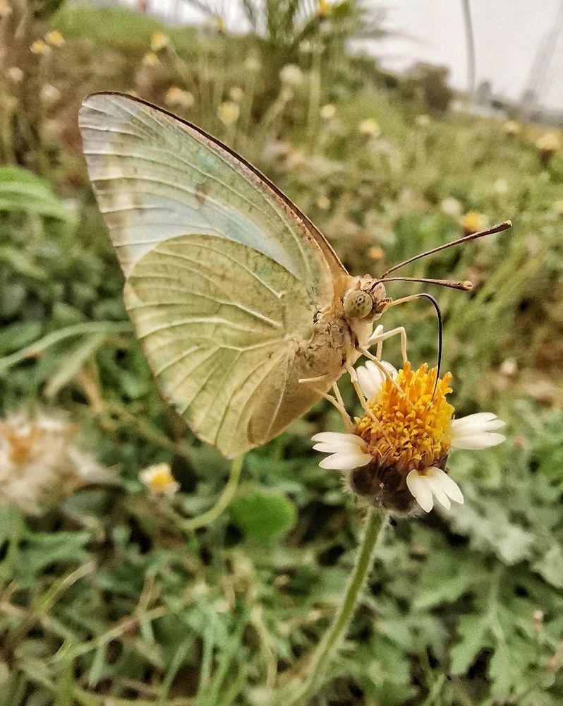 Photograph by Anil Yadav