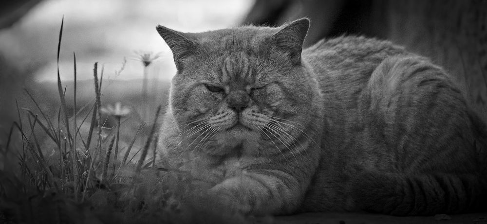 Photograph by Сергей Басов