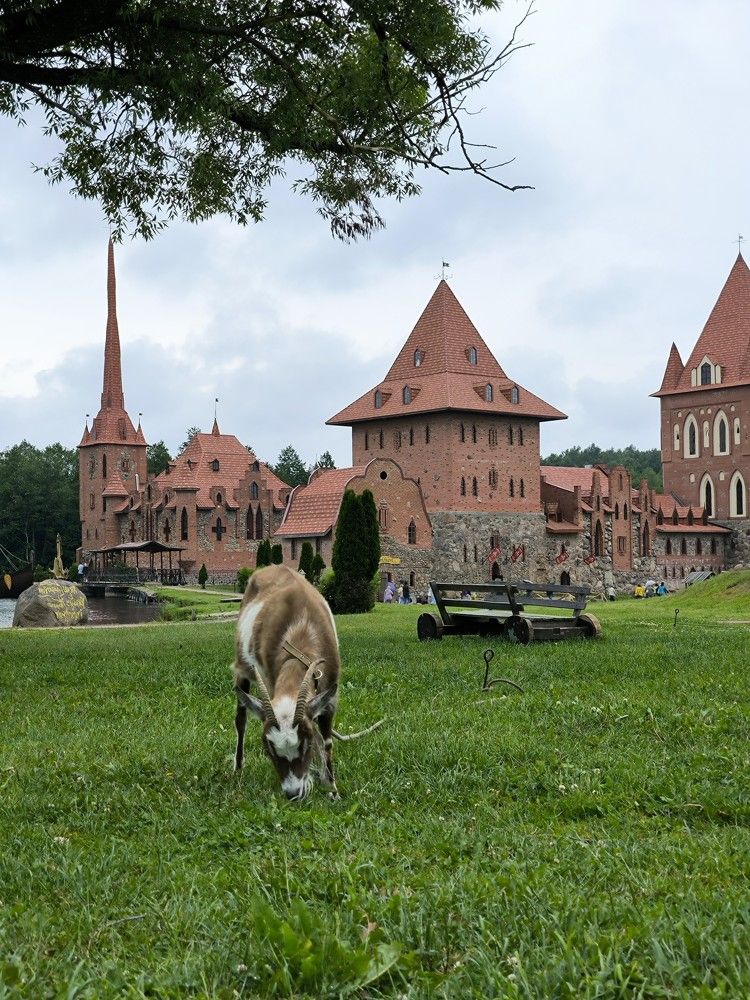 Photograph by Татьяна