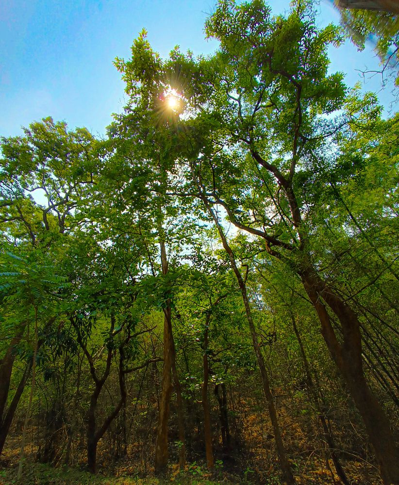 Photograph by Varshini Sriram