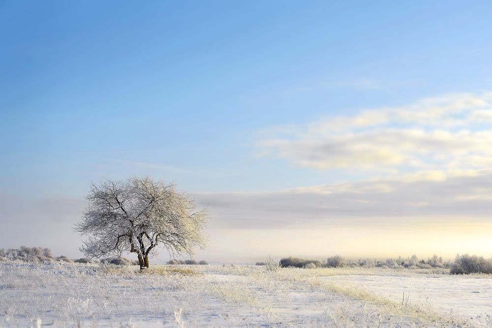 Фотография автора Александр Степочкин