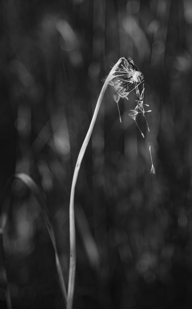 Фотография автора Войнов Дмитрий