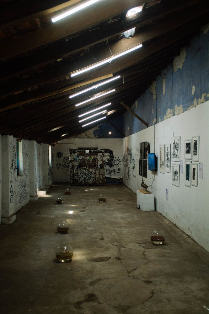 Фотография автора Shibnu Salman Pasha K