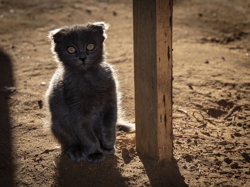 Photograph by Дмитрий Садов