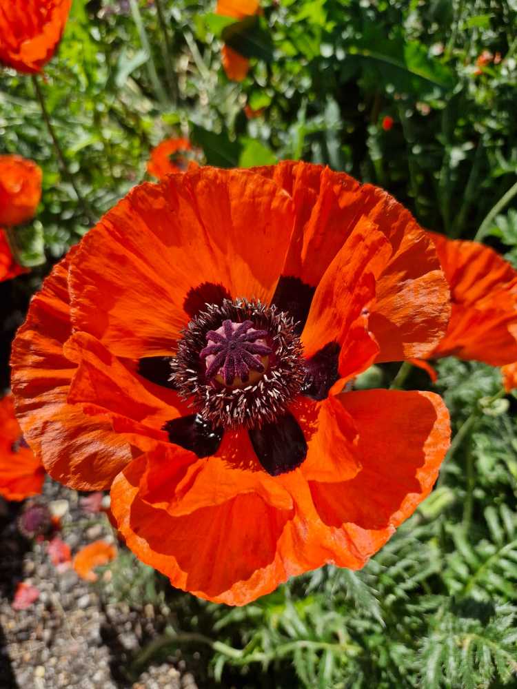 Photograph by Татьяна Биргулиева