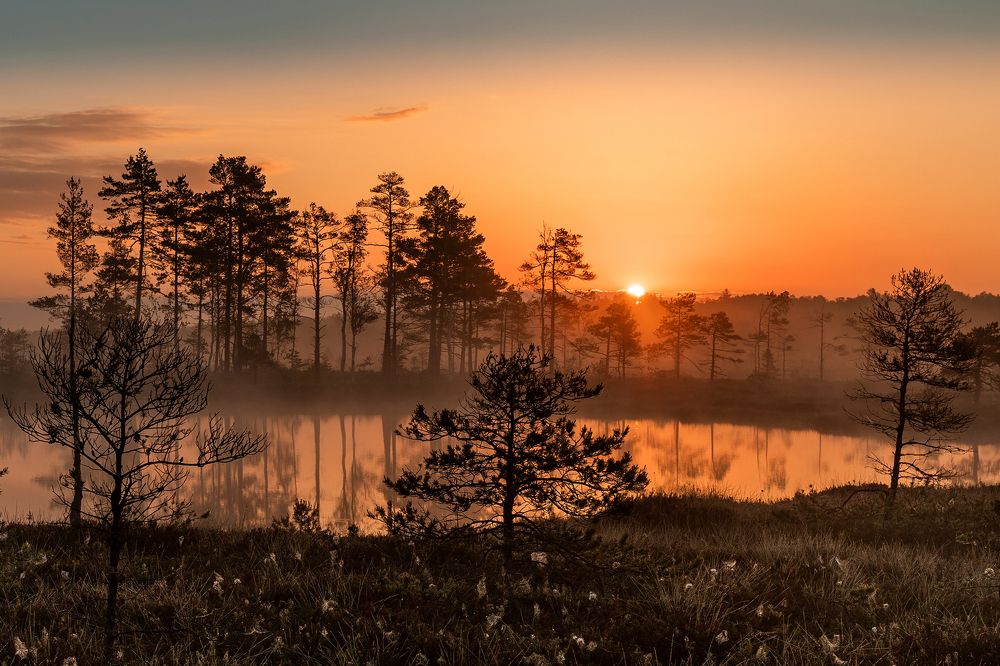 Photograph by Dace Spalvina