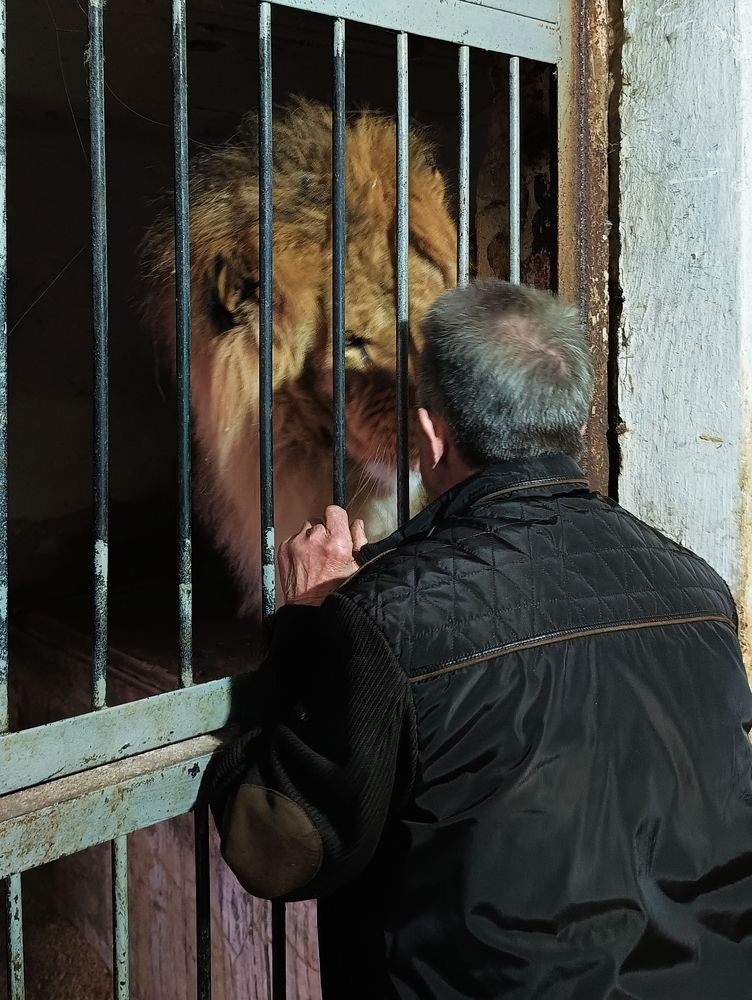 Photograph by Сергей Вершинин