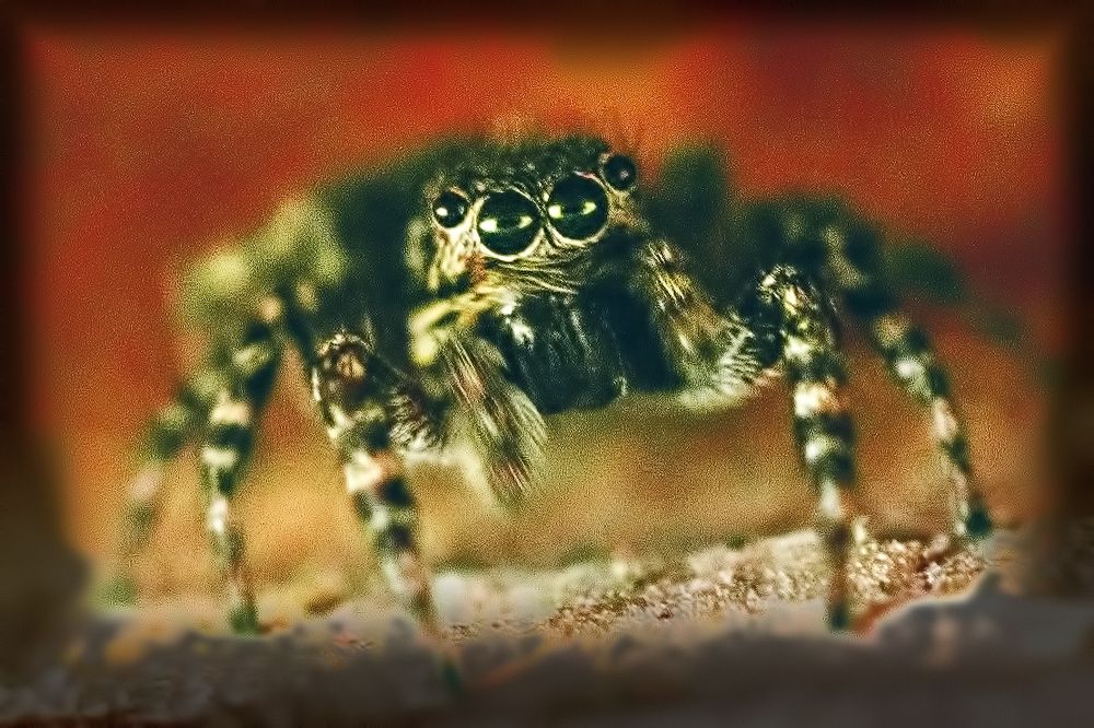 Photograph by Сергей Немчинов