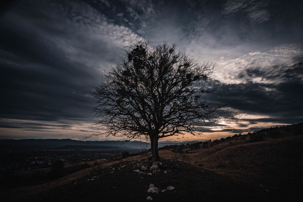 Photograph by Дмитрий Бутенко