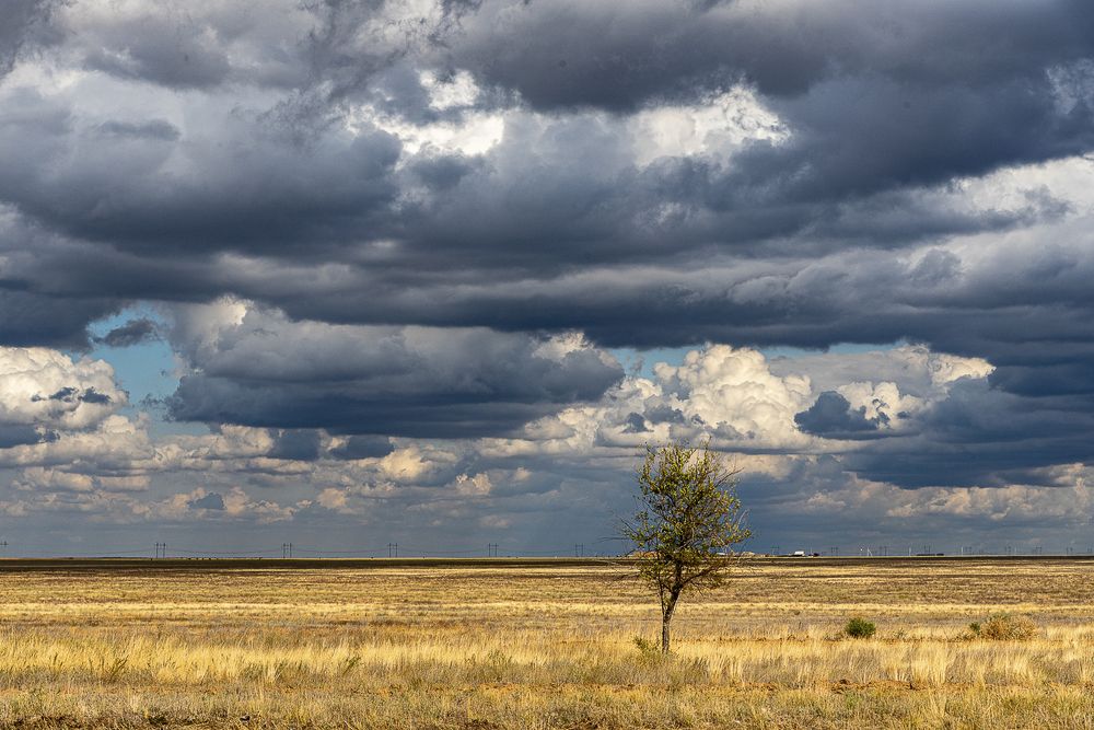 Photograph by Дмитрий Садов