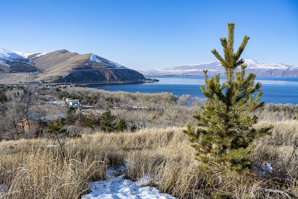 Photograph by Дмитрий Садов