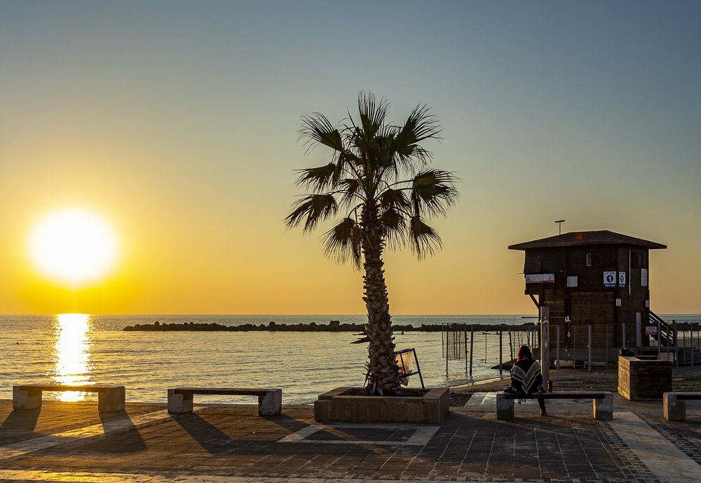 Photograph by Дмитрий Садов