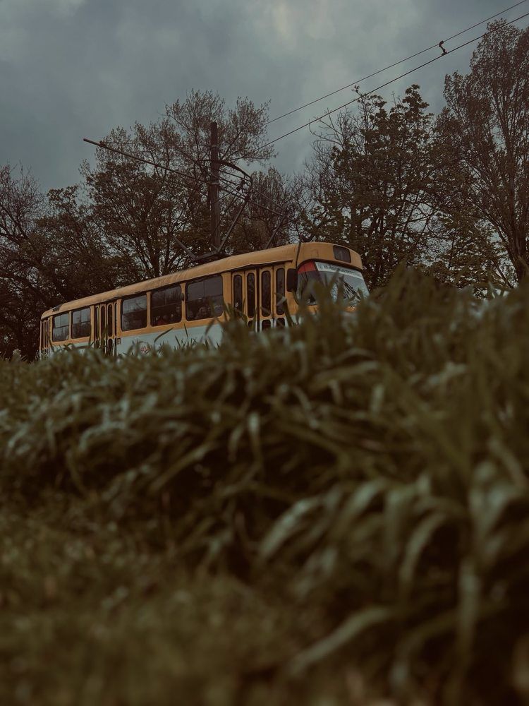 Photograph by Виктория Ушакова