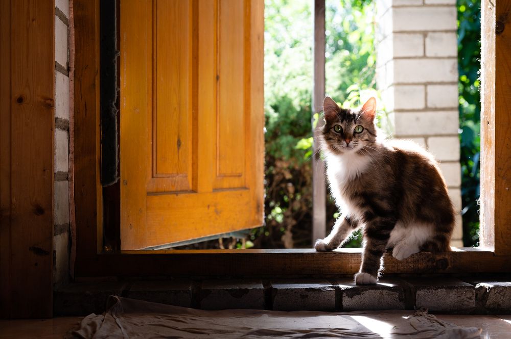 Photograph by Рыков Сергей