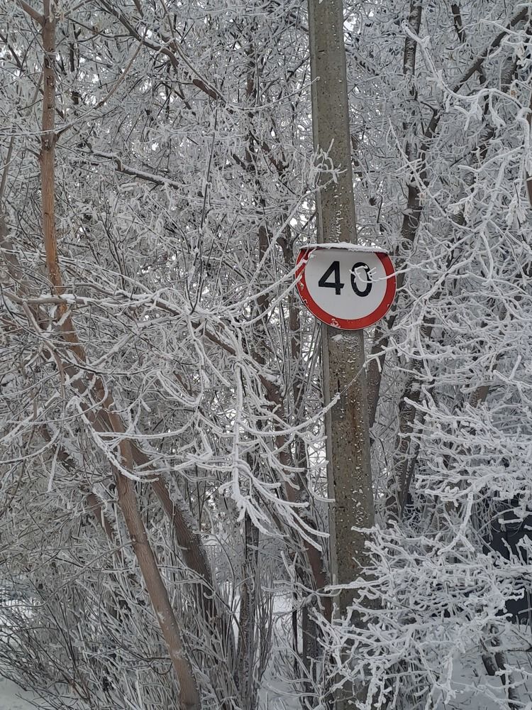 Photograph by Елена