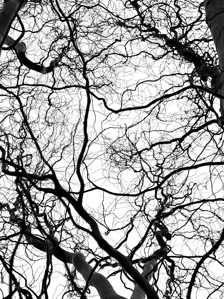 Photograph by Елена