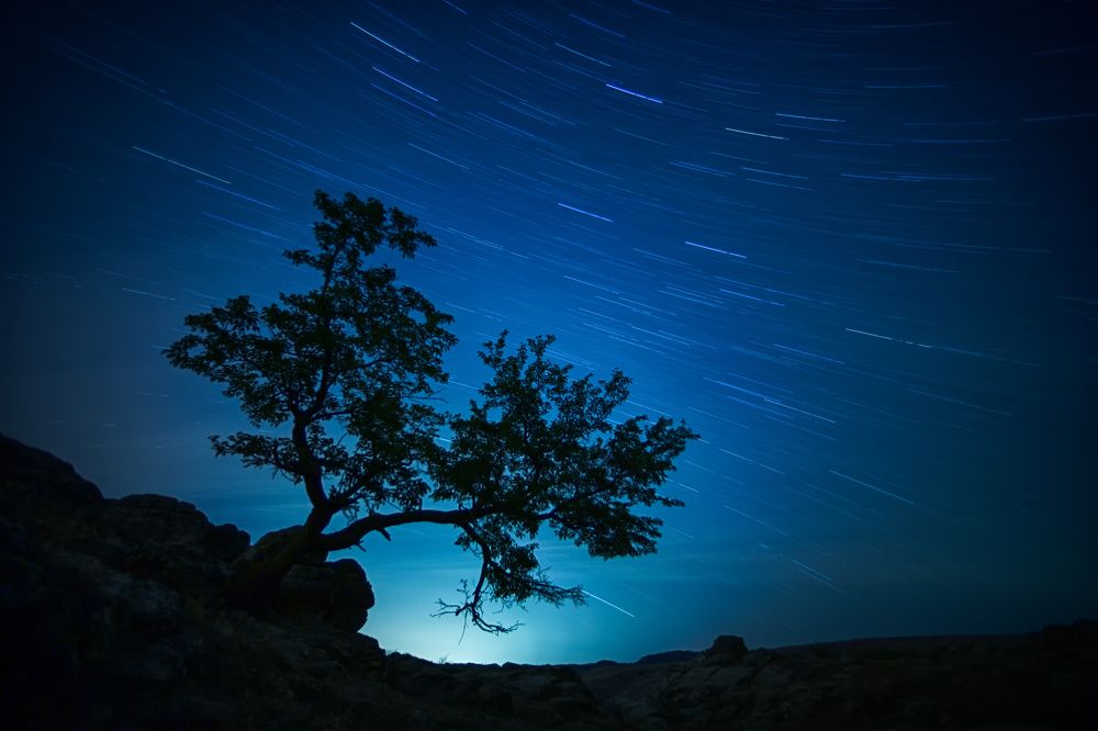 Photograph by Сергей Ларин