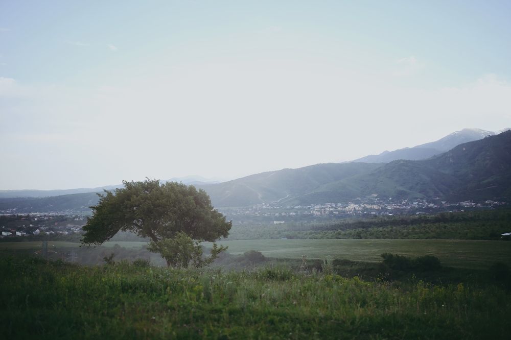 Photograph by Индира Кузнецова