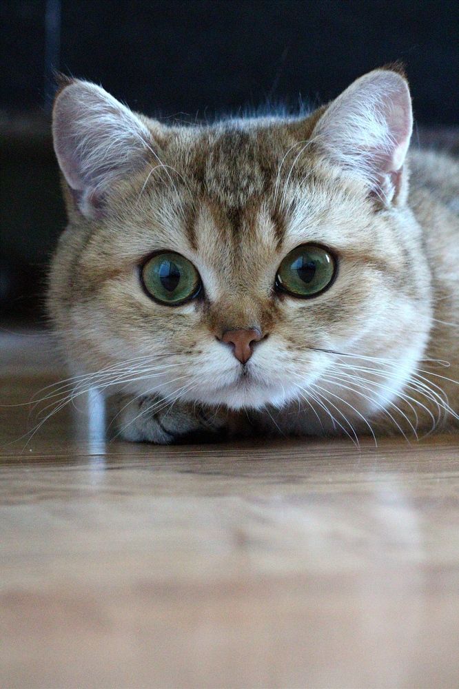 Фотография автора Яна Сергеева