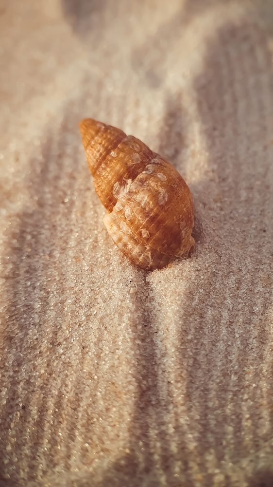 Photograph by Кристина Дугина